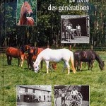 artikel-113