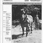 artikel-1177
