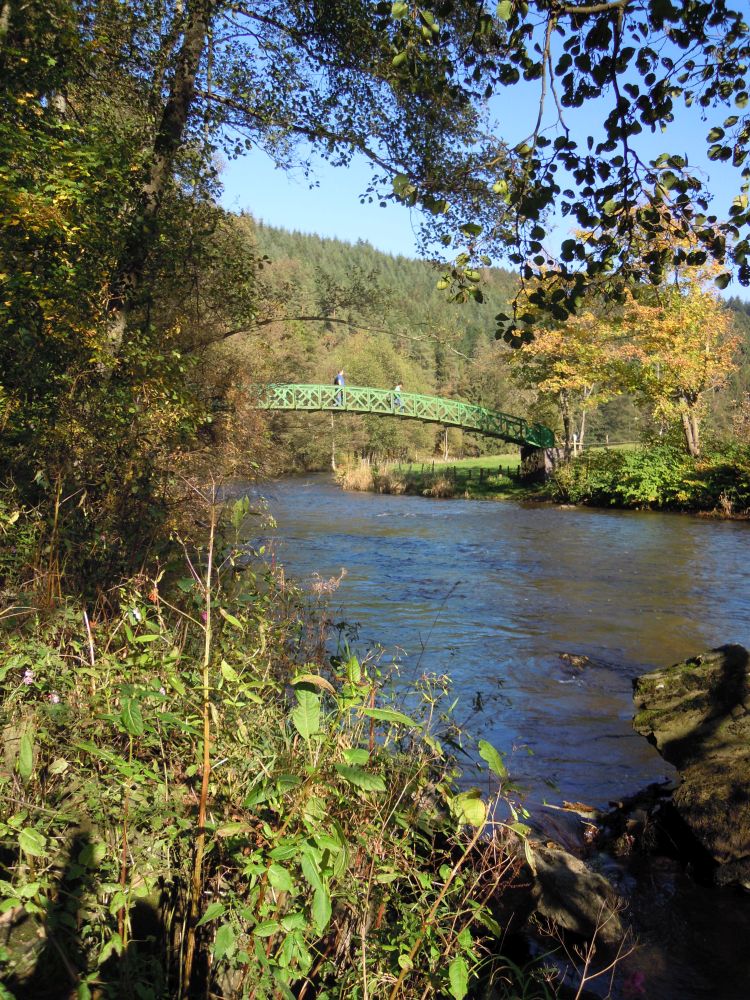ZVS-Wanderung bei Stavelot